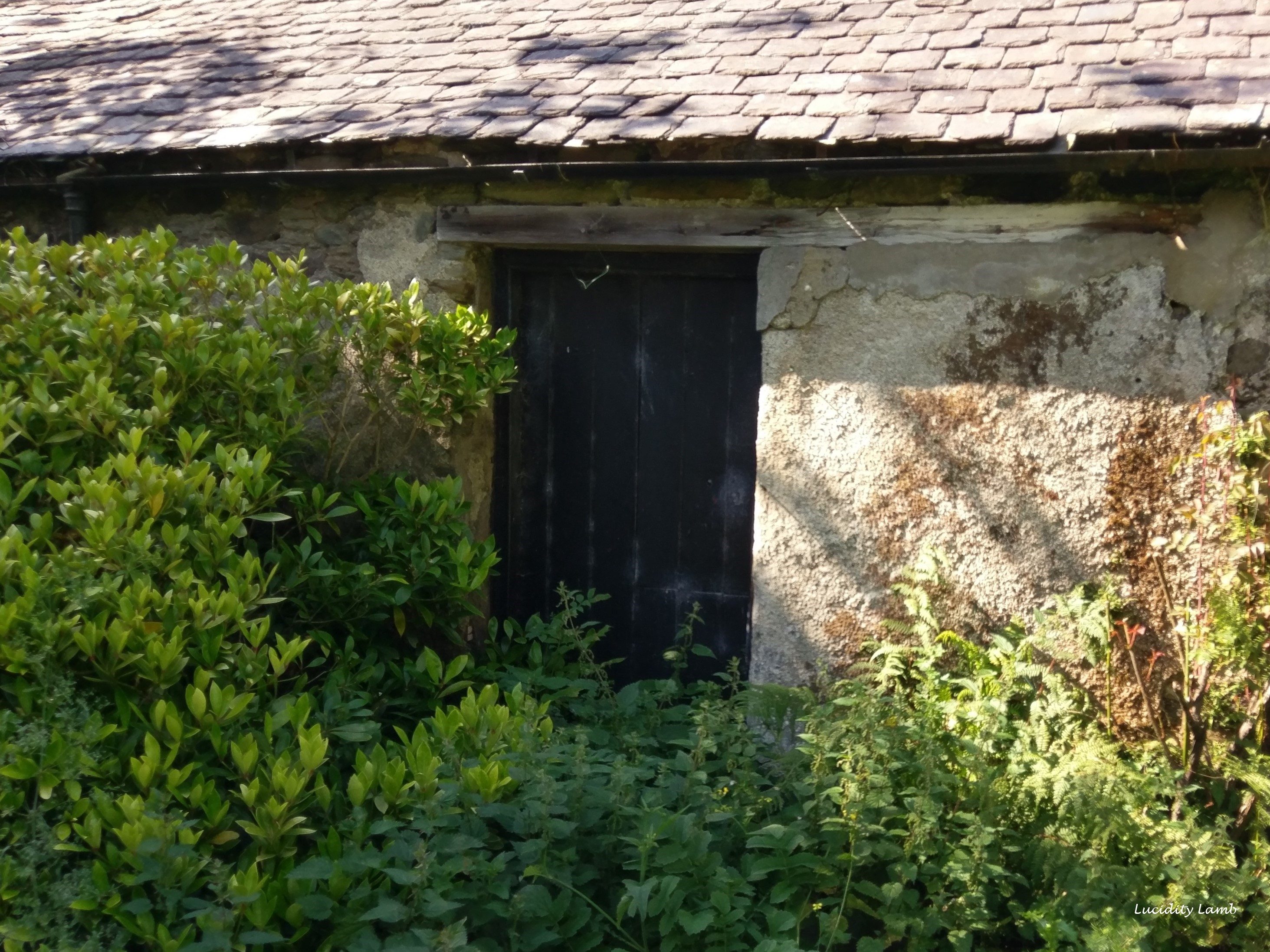 Half-hidden door to an old building