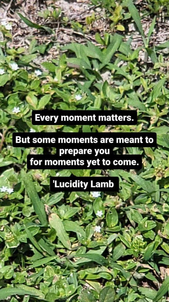 Every moment matters. But some moments are meant to prepare you for moments yet to come.
'Lucidity Lamb